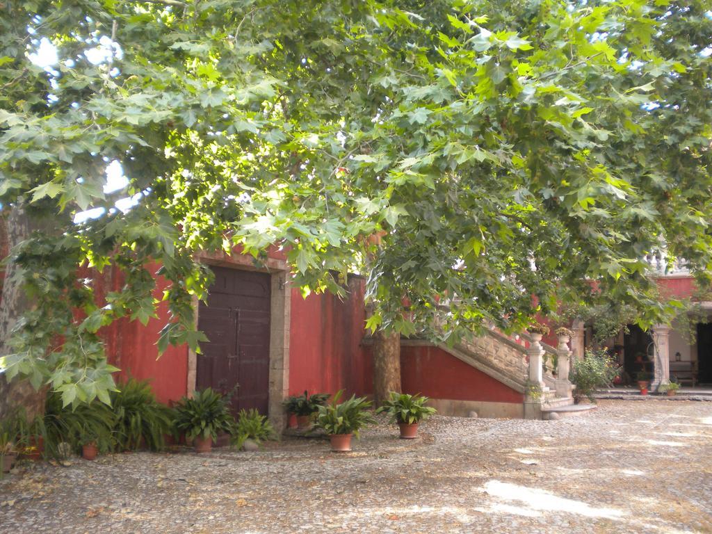 Casa Dos Vargos Bed & Breakfast Torres Novas Ngoại thất bức ảnh